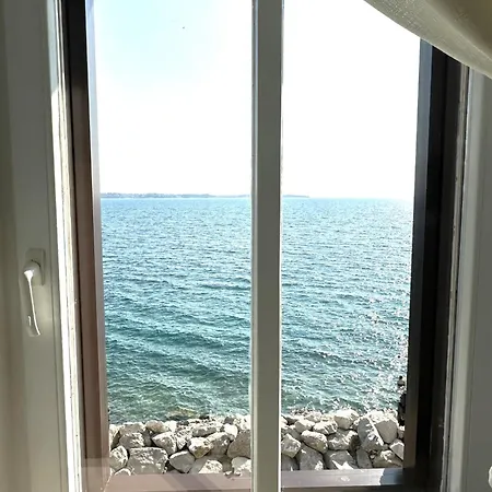 Blue Coast Ivo * Piran