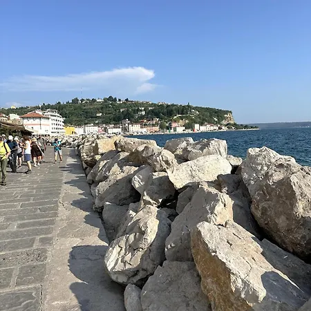 Blue Coast Ivo * Piran