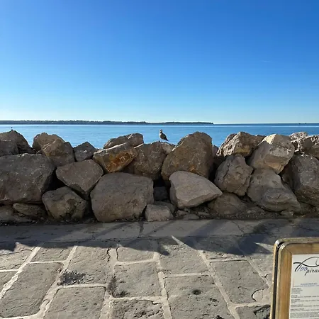 Apartament Blue Coast Ivo Piran