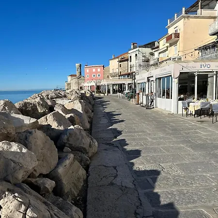 Blue Coast Ivo *