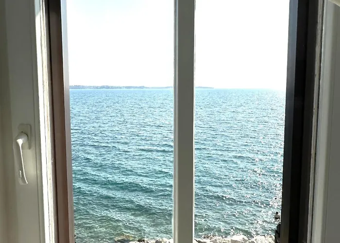 Blue Coast Ivo * Piran