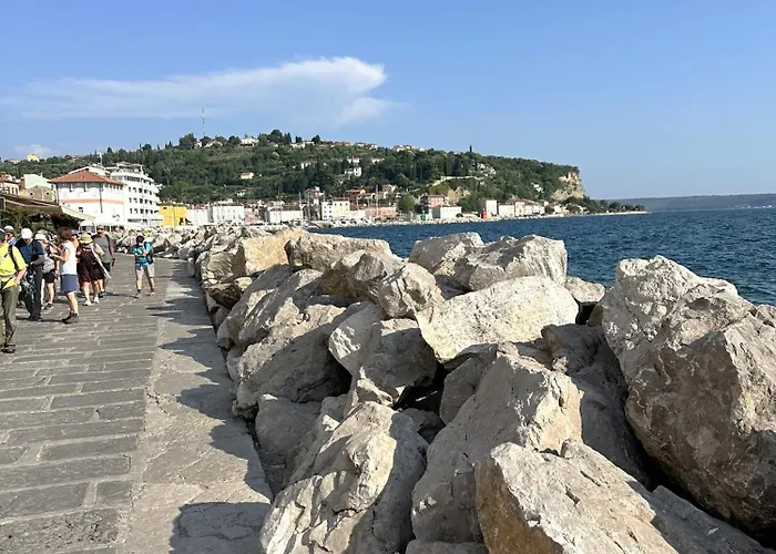 Blue Coast Ivo * Piran